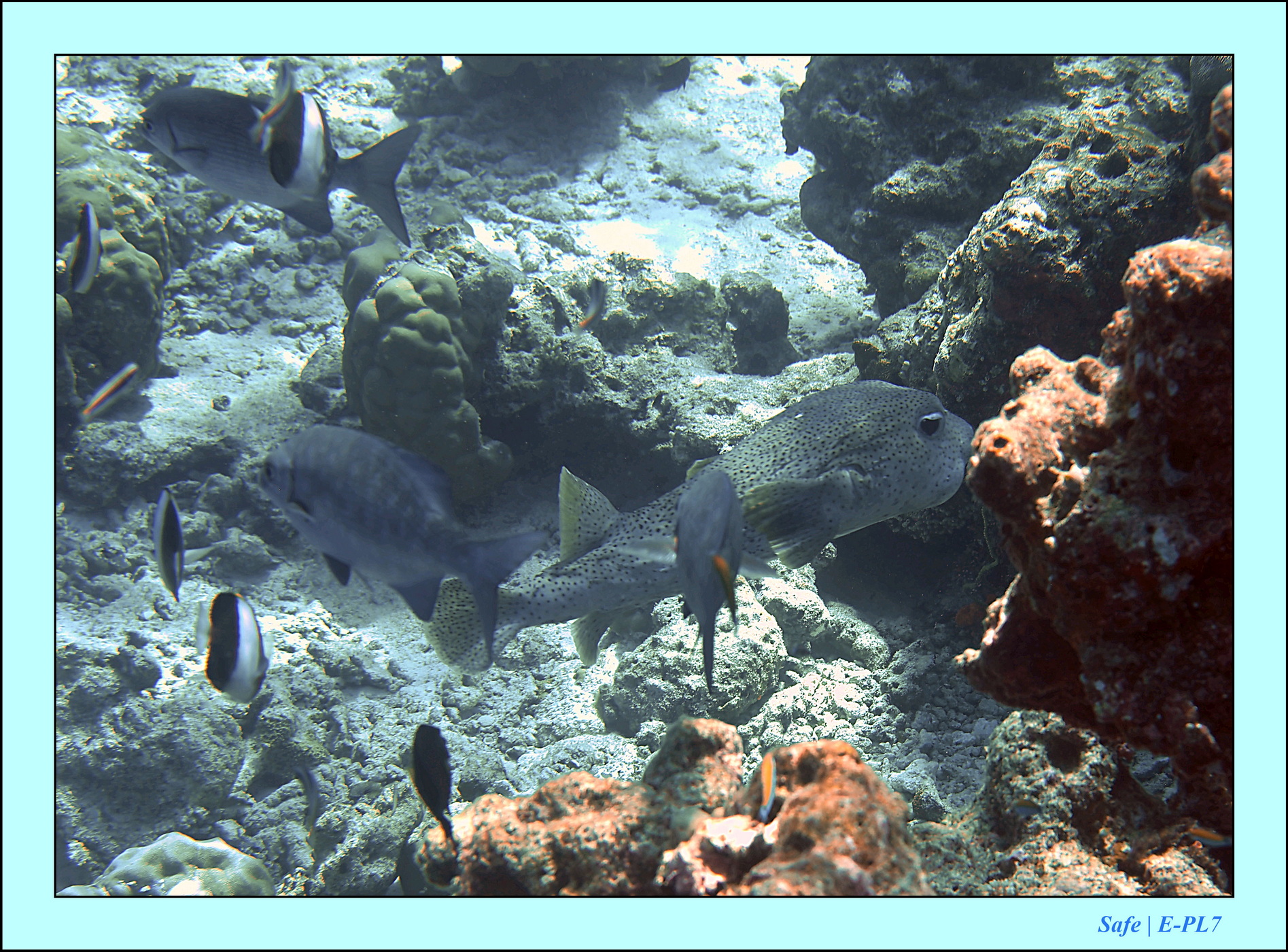 2023 - 07 - Sandies Bathala - 169